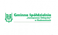 gs radwanicach